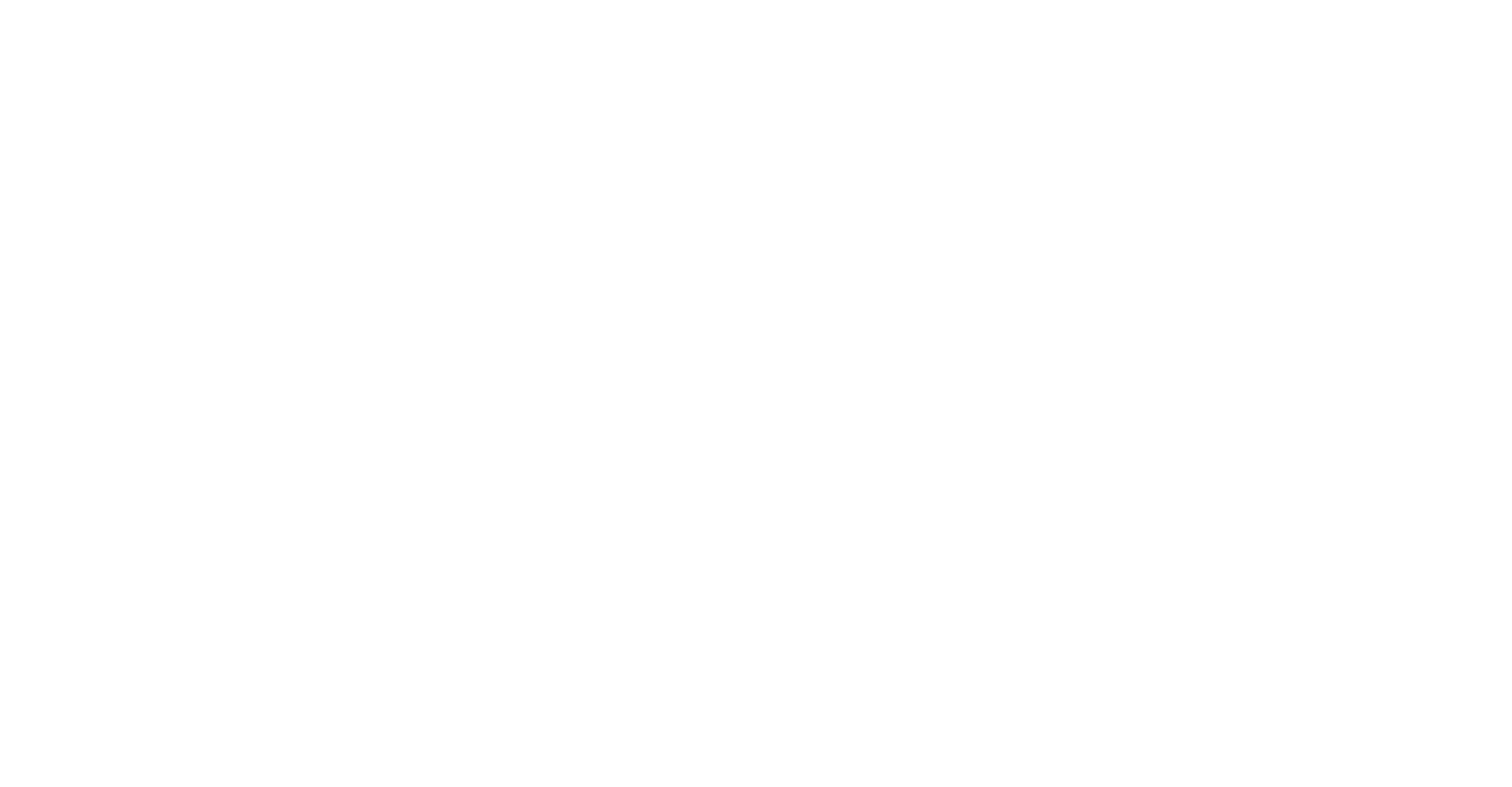 ARI 아리